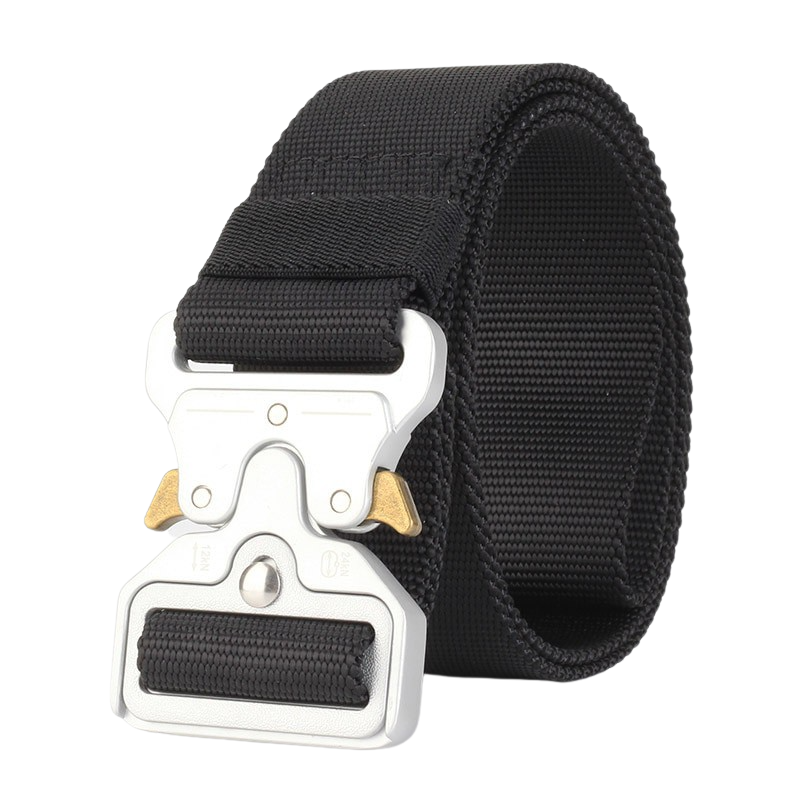 Silver Buckle Belt